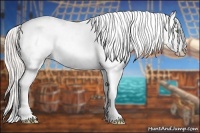 Horse Color:Silver Amber Champagne Dun Appaloosa 