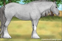Horse Color:Black Tobiano Varnish