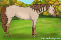 Horse Color:Liver Red Dun Rabicano