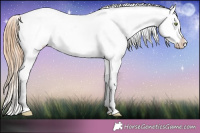Horse Color:Gold Champagne Roan Dun Splash Tobiano Frame Near Leopard Rabicano 