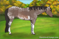 Horse Color:Bay Ice Tobiano 