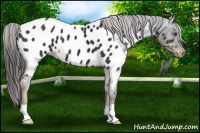 Horse Color:Liver Chestnut Blanket 