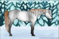 Horse Color:Gray Liver Chestnut Frame 
