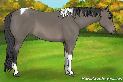 Horse Color: Black Tobiano 