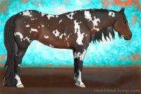 Horse Color:White Spotted Liver Chestnut 