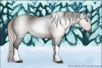 Horse Color:Gray Silver Black Tobiano