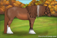 Horse Color:Liver Chestnut Sabino Tobiano 