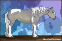 Horse Color:Watercolor Silver Brown Tobiano 