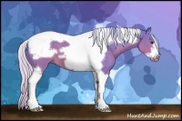 Horse Color:Watercolor Silver Brown Tobiano Frame
