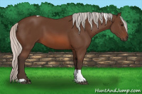 Horse Color:Silver Brown Tobiano 