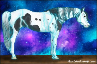 Horse Color:Thunderstruck Black Splash Tobiano 
