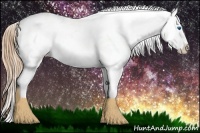 Horse Color:Chestnut Splash Frame Appaloosa 