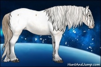 Horse Color:Buckskin Snowcap 