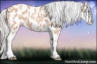 Horse Color:Silver Sable Champagne Splash Blanket 