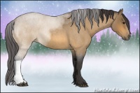 Horse Color:Buckskin Roan 