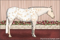 Horse Color:Silver Sable Cream Champagne Roan Blanket 