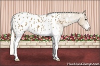 Horse Color:White Spotted Silver Smoky Black Blanket 