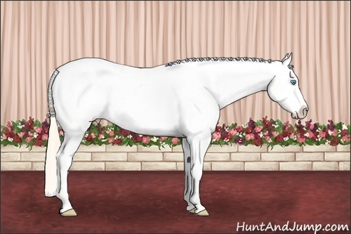 Horse Color: Perlino Dun Snowcap 