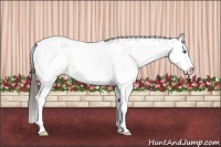 Horse Color:White Spotted Bay Roan Splash Snowcap 