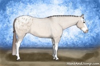 Horse Color:Bay Roan Dun Splash Blanket 