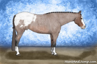Horse Color:Bay Roan Splash Appaloosa