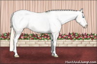 Horse Color:Perlino Snowcap 