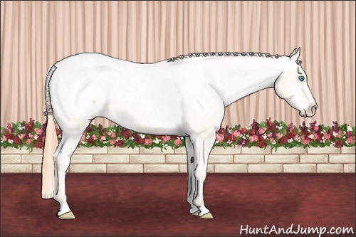 Horse Color: Buckskin Pearl Snowcap 