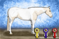 Horse Color:Buckskin Roan Tobiano Appaloosa 
