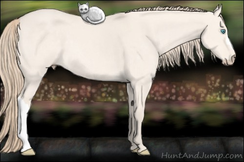 Horse Color: Perlino Dun 