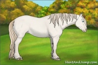 Horse Color:Smoky Creme Roan Dun 