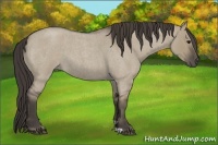 Horse Color:Smoky Grullo Roan 