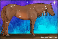 Horse Color:White Spotted Liver Chestnut 
