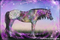 Horse Color:White Spotted Black 