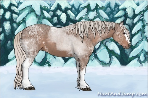 Horse Color: White Spotted Silver Black Ice Sabino 