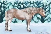 Horse Color:White Spotted Silver Black Ice Sabino