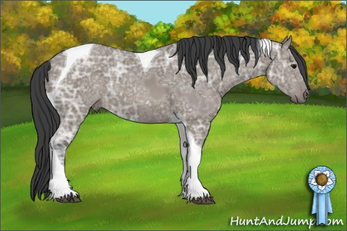 Horse Color: Grullo Ice Tobiano 