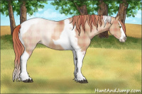 Horse Color:Plaid  Liver Chestnut Pearl Splash Tobiano 