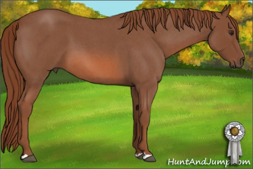 Horse Color: Liver Red Roan 