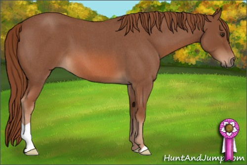 Horse Color: Liver Red Roan 
