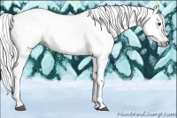 Horse Color:Gray Red Dun 
