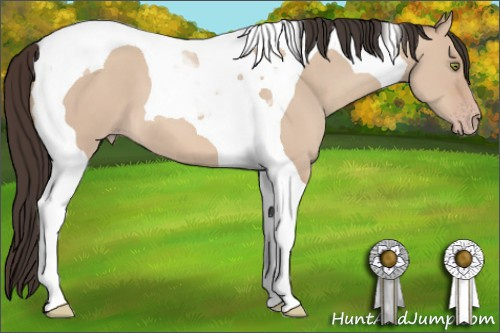 Horse Color: Amber Champagne Dun Tobiano 