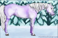 Horse Color:Gray Red Dun Tobiano 