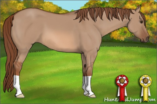 Horse Color: Liver Red Dun 