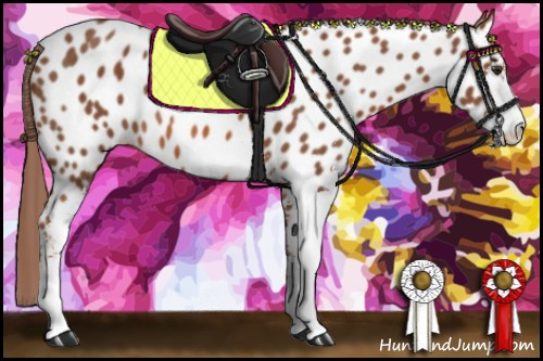 Horse Color: Liver Chestnut Sabino Near Leopard 