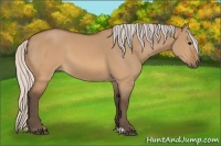 Horse Color:Silver Brown Dun Sabino 