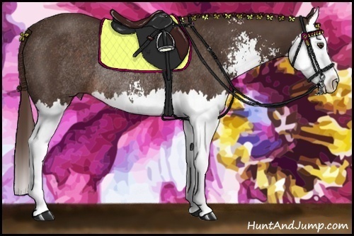 Horse Color: Liver Chestnut Sabino Splash Rabicano 