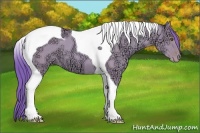 Horse Color:Watercolor Classic Champagne Ice Dun Tobiano 