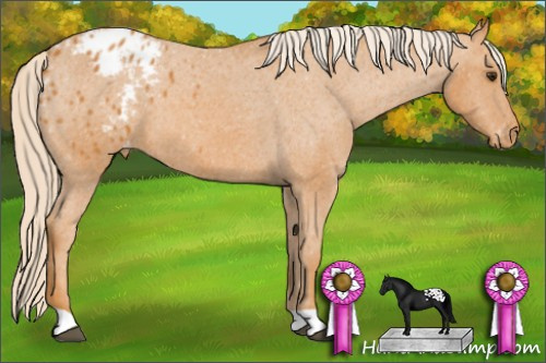 Horse Color: Chocolate Palomino Blanket 