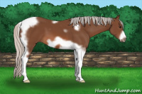 Horse Color:Silver Bay Tobiano Frame