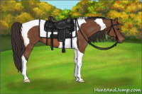 Horse Color:Bay Tobiano 